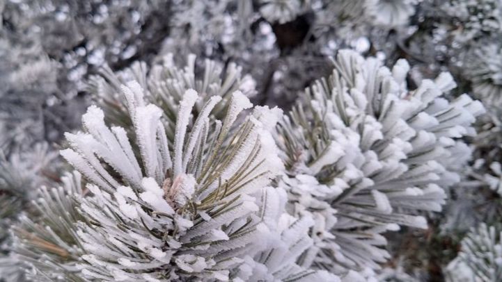 Ein alternativer Blick auf Krankheit